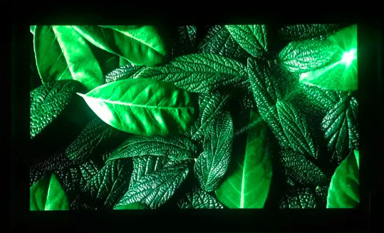 ISLE廣州展搶先看:木林森推出創(chuàng)新性封裝產(chǎn)品解決方案 4.png ISLE廣州展搶先看:木林森推出創(chuàng)新性封裝產(chǎn)品解決方案 4.png