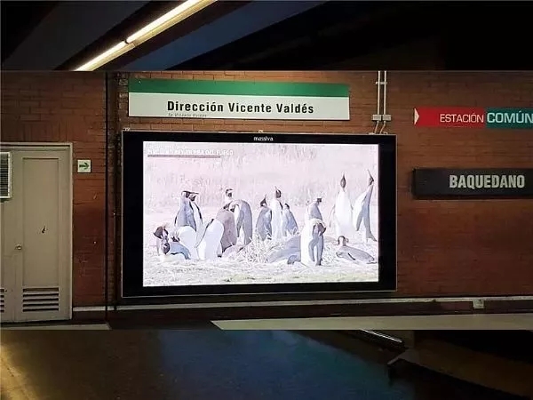 這些<a href=http://m.gdhjsme.com target=_blank class=infotextkey>led屏</a>就一個(gè)字 3.webp.jpg